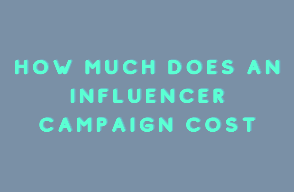 How much does an influencer campaign cost